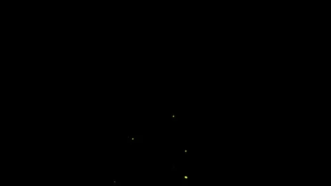 Natural Dust Particles Floating animation. Video stock 337013702