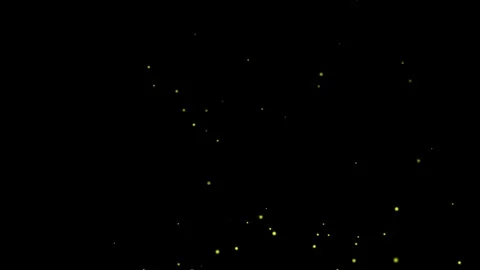 Natural Dust Particles Floating animation. Stock Footage 337013727