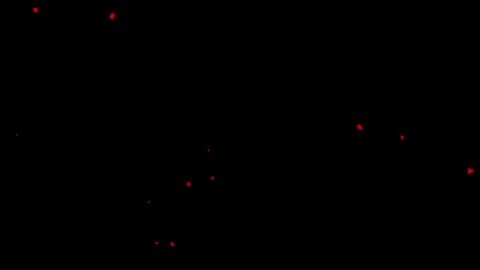 Natural Dust Particles Floating animation. Vidéo 337013749