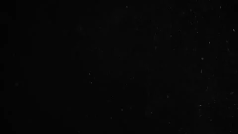 Natural  Dust Particles Floating Stock Footage 247330632