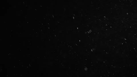 Natural  Dust Particles Floating Stock Footage 247330825