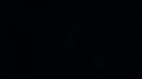 Natural  Dust Particles Floating Video stock 247771971