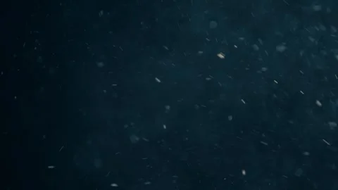 Natural  Dust Particles Floating Stock Footage 247772116