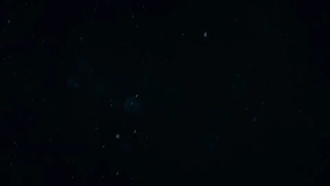 Natural  Dust Particles Floating Stock Footage 247772157
