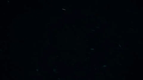Natural  Dust Particles Floating Video stock 247772158