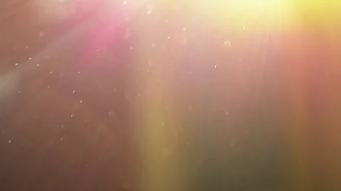 Natural dust particles moving background Stock Footage 84109659