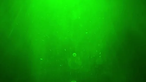 Natural dust particles moving background Stock Footage 84209519