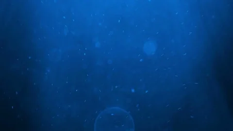 Natural dust particles moving background Stock Footage 84210067