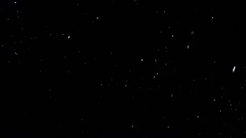 Natural dust particles overlay Stock Footage 231543449