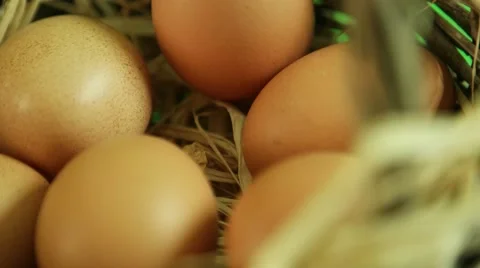 Natural eggs rotating in basket Stock Footage 66487176