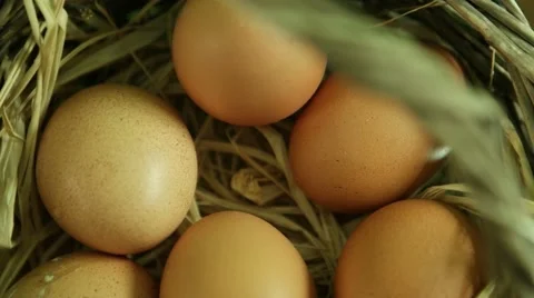 Natural eggs rotating in basket Stock Footage 66488380
