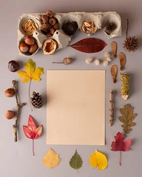 The natural elements are diverse in shape, color, and texture, relevant for.. Stock Photos
