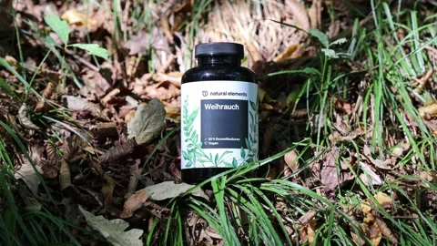 Natural elements weihrauch supplement in an autumn forest setting Video stock 345256229