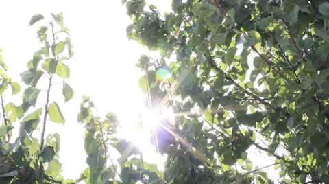 Natural energy Stock Footage 30421238