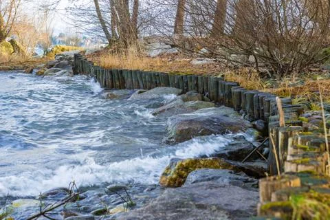 Natural engineering - soil bioengineering. Shore protection from water erosion Stock Photos