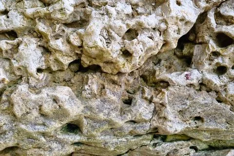 Natural Eroded Limestone Texture for Background and Design Use Stock Photos