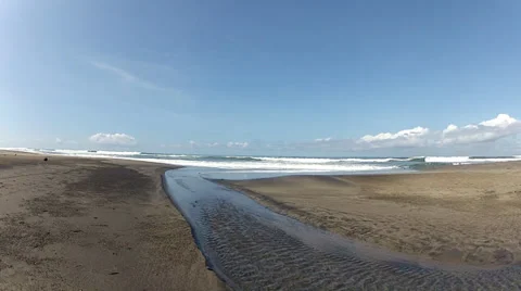 The Natural Estuary 스톡 동영상 36048853