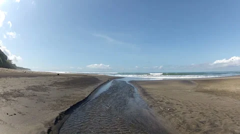 The Natural Estuary 스톡 동영상 36049816