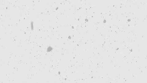 Natural falling snow, PNG codec Stock Footage 164532271