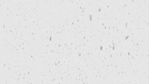 Natural falling snow. Seamless loop Stock Footage 155052337