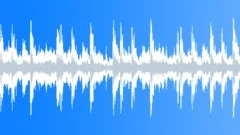 Natural Feelings (Loop 01)Stock Music
