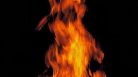 Natural fire flame at night, close up. Burning fire, slow motion Stock Footage 147100256