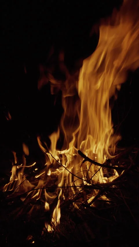 Natural fire flames flickering against a black background Stock Footage 341483596