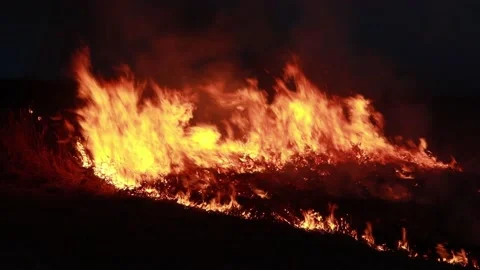 Natural Fire. Stock Footage 138945659