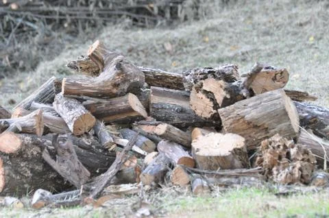 Natural Firewood Stack Stock-Fotos