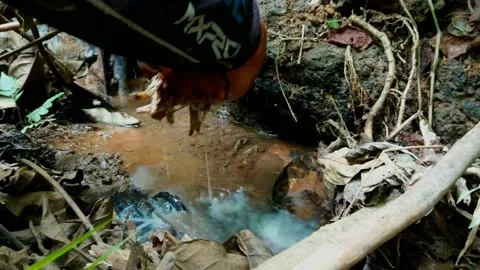 Natural fish poison Stock Footage 160368129