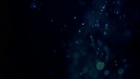 Natural floating particles on black background. Slow motion. Stock Footage 92531425