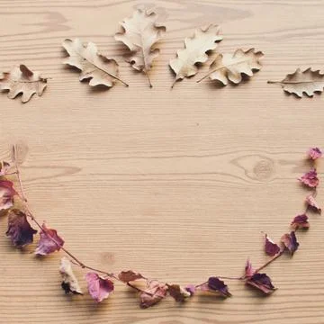 Natural floral frame. Rustic background. With copy space. Logo frame. Stock Photos