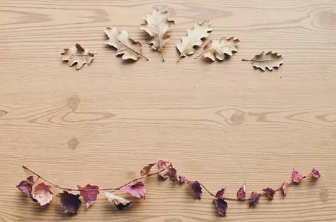 Natural floral frame. Rustic background. With copy space. Logo frame. Stock Photos