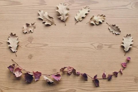 Natural floral frame. Rustic background. With copy space. Logo frame. Foto stock