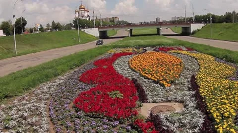 Natural flowers 01.mp4 Video stock 8977282