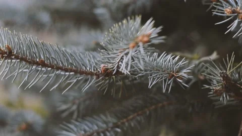 Natural Stock Footage 162735950