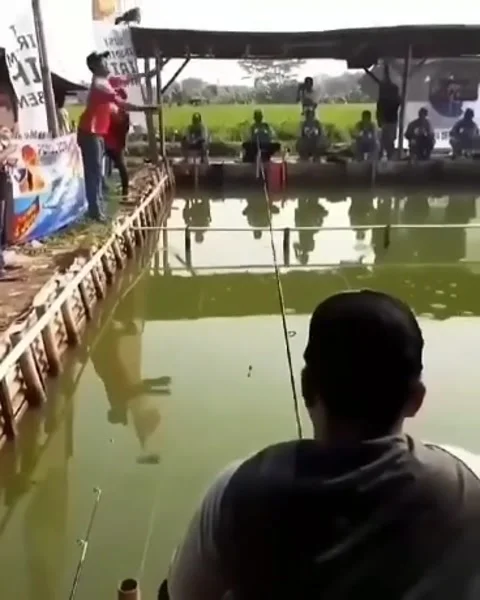 Natural Stock Footage 210712627