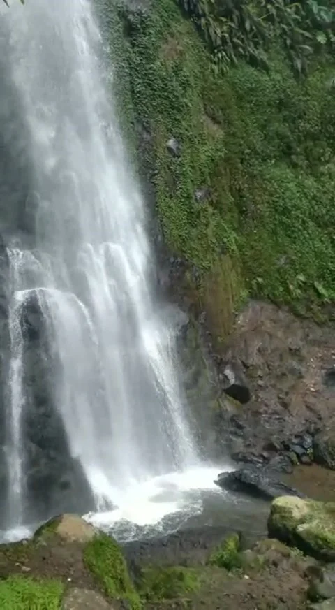 Natural Stock Footage 227335853
