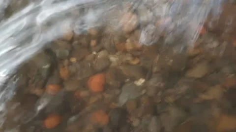 Natural Stock Footage 235781490