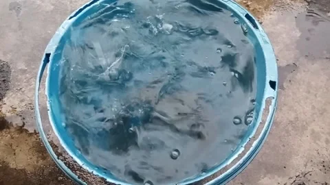 Natural Stock Footage 235795197