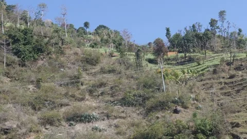 Natural Stockbeeldmateriaal 279140641