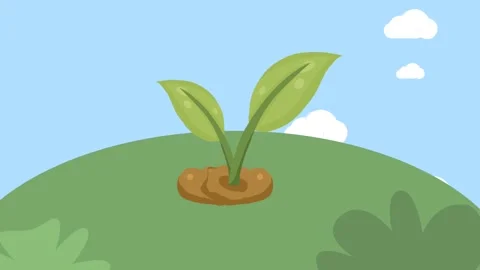 Natural Stock Footage 316662179