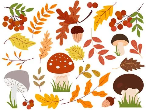 Natural forest elements set vector graphic Stock Illustration