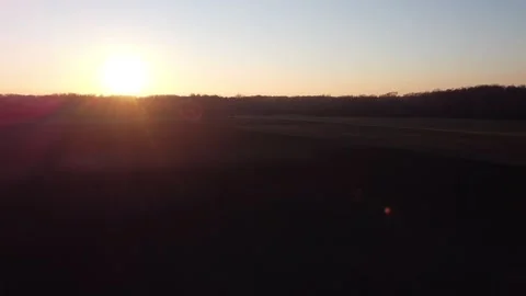 Natural forest meadow Stock Footage 166506035