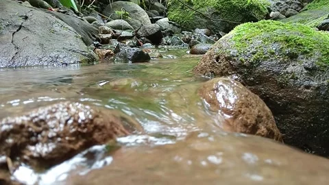 Natural Forest Stream Flowing Over Stones – Calm Water Footage Stock Footage 329778190