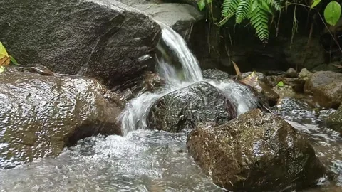 Natural Forest Stream Flowing Over Rocks – Clear Water in Tropical Jungle Stock Footage 329779948