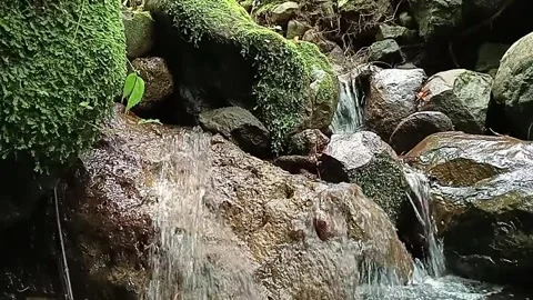 Natural Forest Stream Flowing Over Rocks – Tropical Jungle Water Scene Stock Footage 329780207