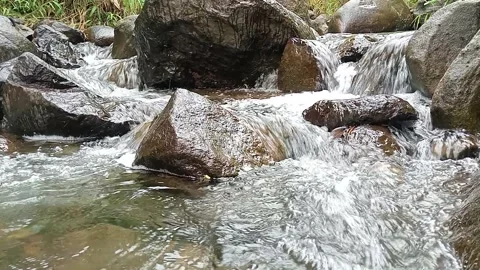 Natural Forest Stream Flowing Over Stones – Calm Water Scene Stock Footage 330555425