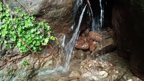 Natural Forest Stream Flowing Over Wet Rocks Close View Stock Footage 330591959