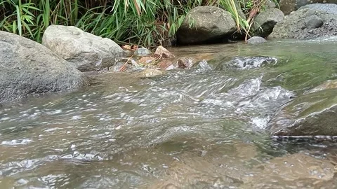 Natural Forest Stream Water Flowing Over Rocks Stock Footage 329757601